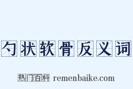 勺状软骨反义词是什么意思的图片